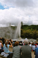 Lady Knox Geyser